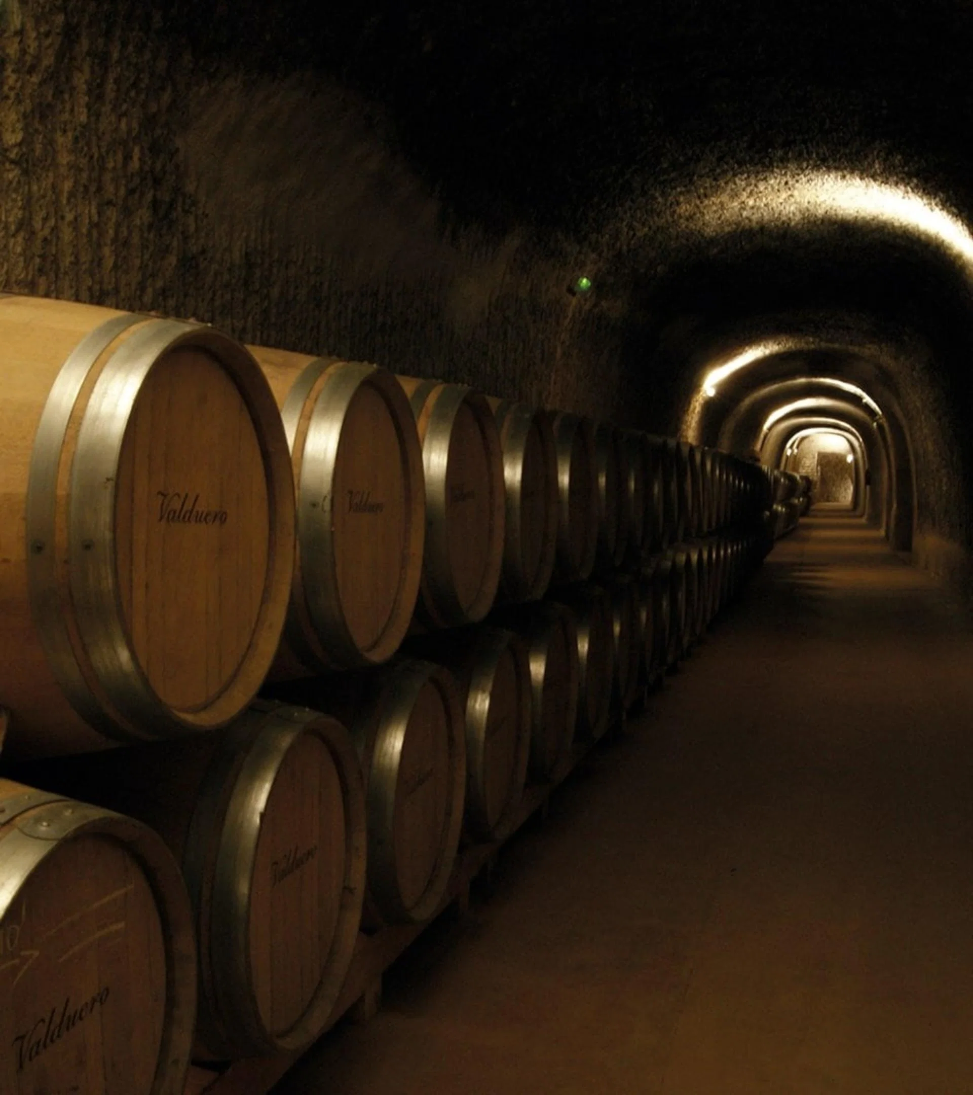 Galería subterránea de barricas en Bodegas Valduero