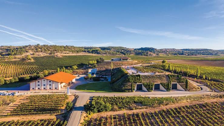 Valduero: la Ribera del Duero que merece más conversación