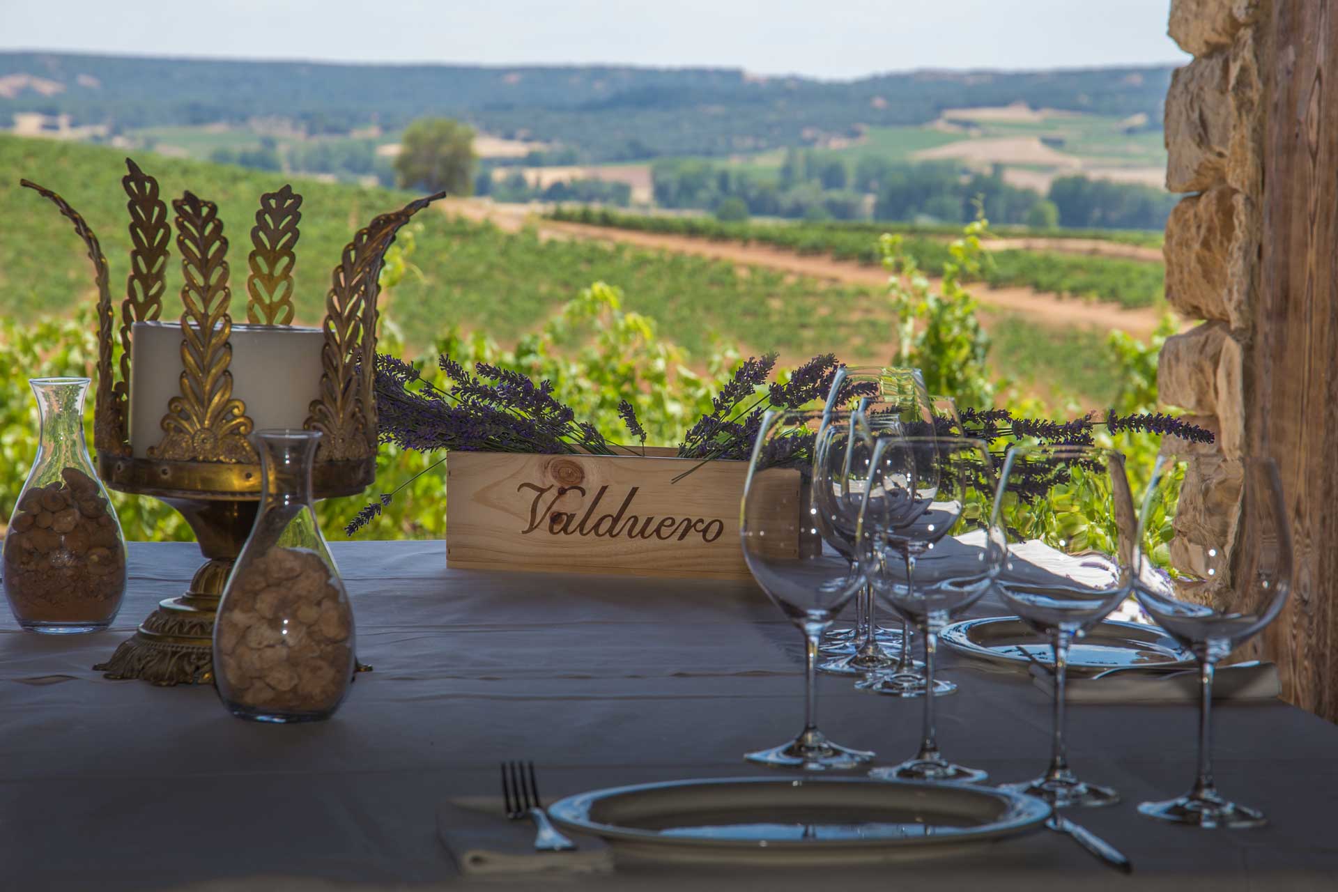 Viñedos de Valduero a 900 metros de altura, Ribera del Duero